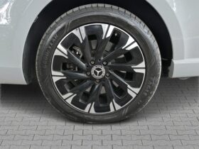 Mercedes-Benz V 300d (2025 Model) – Brand New Unregistered Luxury MPV